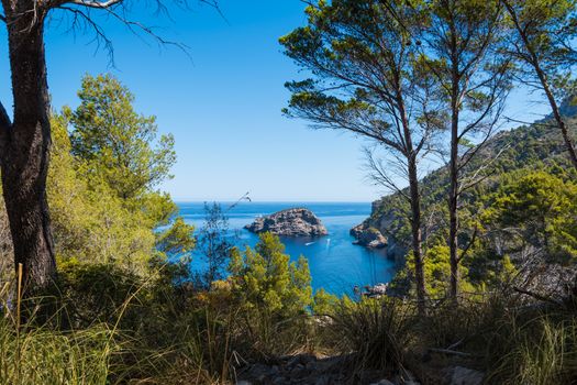 Paradise like view with pine trees an Mediterranean