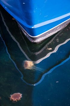 Jelly fish in front of blue boat