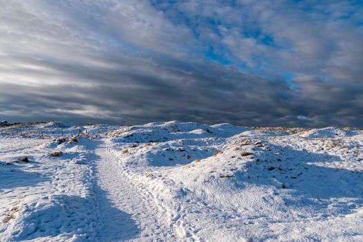 Dunes at wintertime with snow