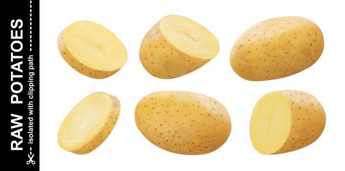 Raw potato isolated on white background with clipping path, collection