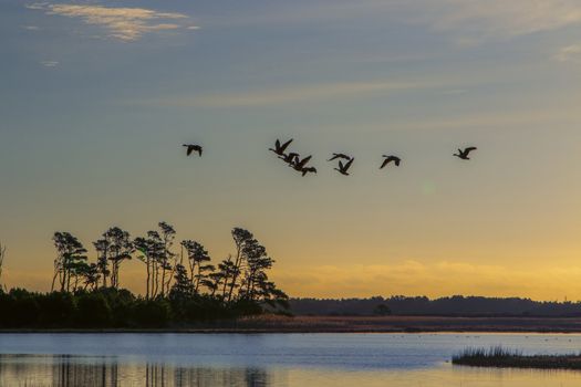 Sunrise on Black Duck Marsh, Chincoteague National Wildlife Refuge,Chincoteague Island