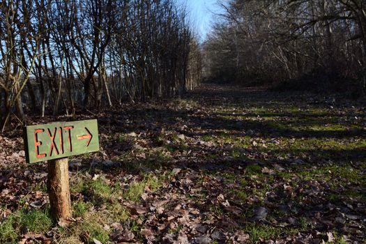 Rustic painted wooden exit sign points down long woodland path between rows of trees