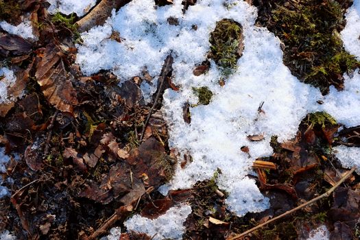 Abstract background of melting snow and ice on a woodland floor covered with dead leaves and green moss