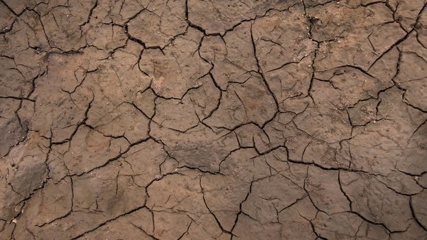 Texture of grunge dry cracking parched earth , Global warming effect