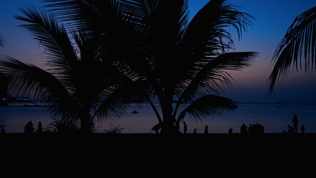 Silhouette of people on tropical beach at sunset - Tourists enjoying time in summer vacation - Travel, holidays and landscape concept - Focus on palm tree - blue color