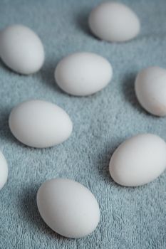 Chicken eggs on a blue fiber