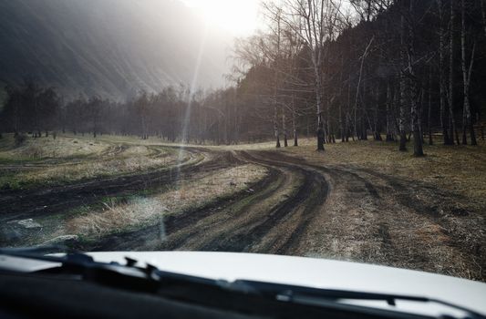 Road trip through the nature of Europe. Car point of view