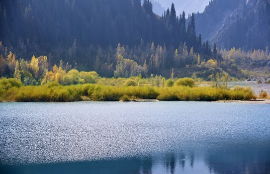 Mountain Lake with plants and trees in USA. California