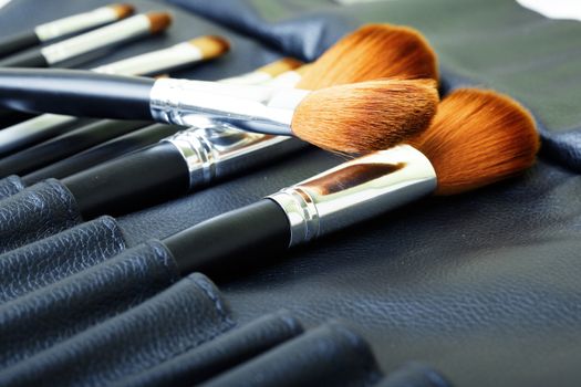 Set of makeup brush in leather cover. Close-up photo