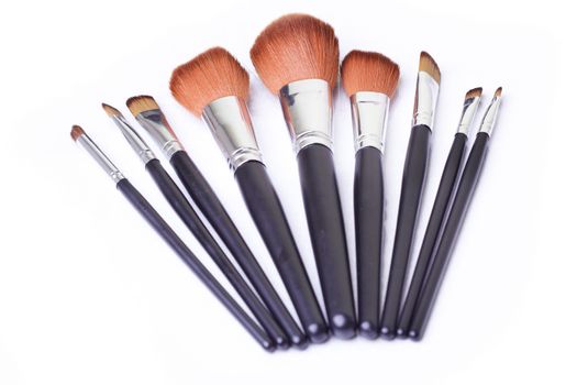 Set of makeup brush in leather cover. Close-up photo