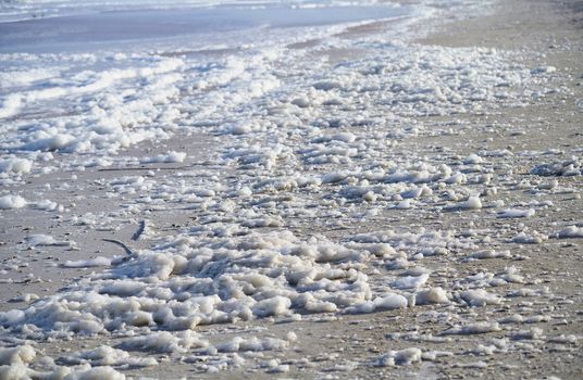 Sea foam on the coast at Pacific Ocean