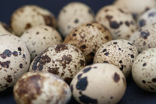 Close-up view on the Quail eggs
