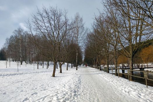 View of the park at the end of winter, at the beginning of spring in a sunny day