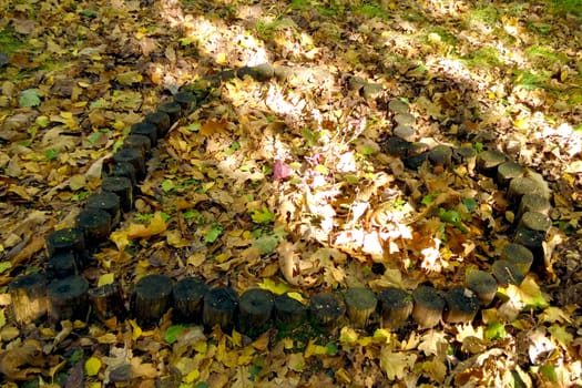 Beautiful view of the heart surrounded by leaves, Valentine's Day