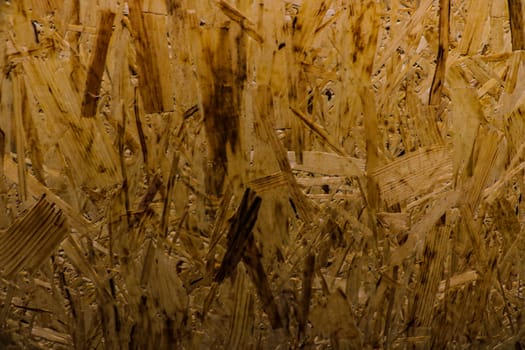 Sheet of plywood with fragments of compressed sawdust