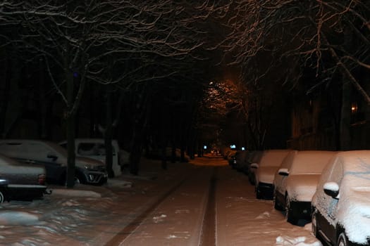 Parked cars covered with snow - snow storm