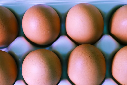 Yellow chicken eggs in a carton with empty space, background