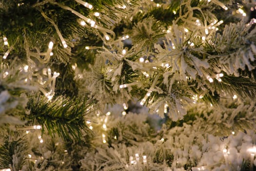 Christmas tree with cones on a city street illuminated with a garland and advertising lights. A branch of spruce with raindrops, illuminated by lights of a garland