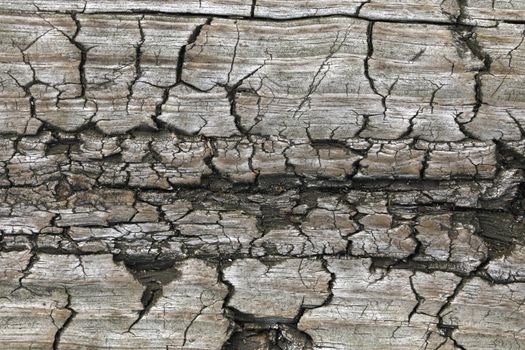old wooden textures for web background