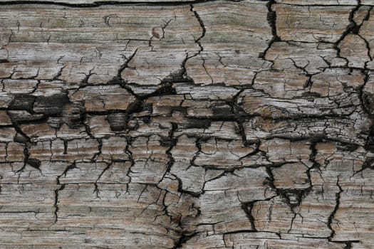 Surface eroded by time,Old wood background