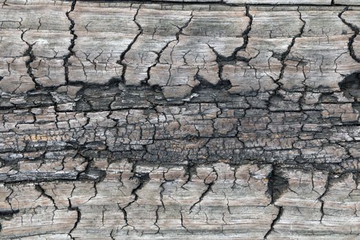 Wood texture. Lining boards wall. Wooden background pattern