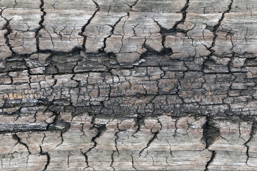 Wood texture. Lining boards wall. Wooden background pattern