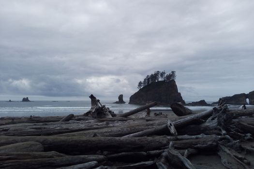 Beautiful Pacific Coast in the Olympic National Park