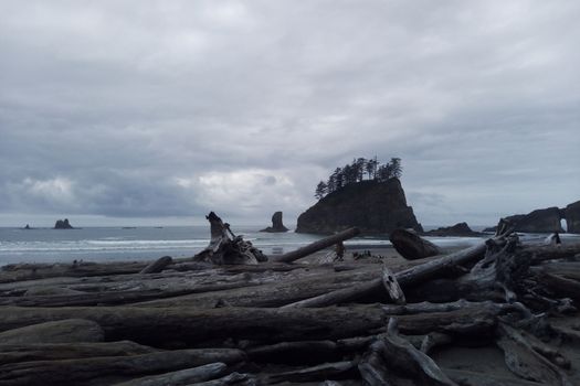 Rock Formations at Olympic National Park