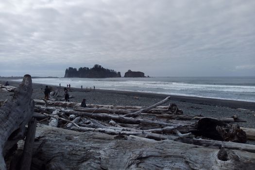 Rock Formations at Olympic National Park