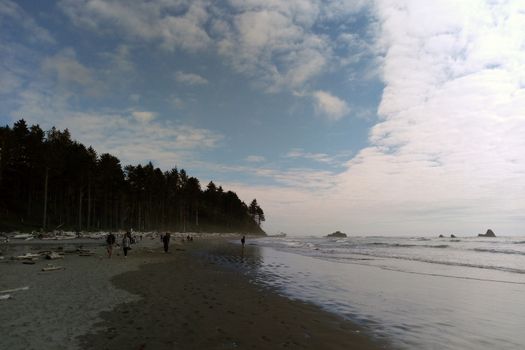 Beach coastline in the Olympic National Park, the Olympic Peninsula near Seattle