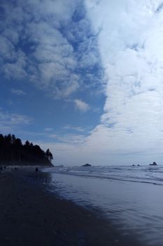 Beautiful beach at Olympic National Park near Seattle, WA