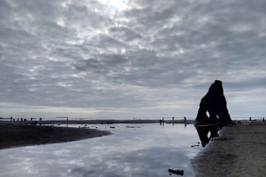 On the beach in Olympic National Park, near Seattle, USA. Rock formations and their reflections