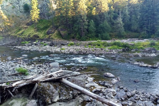 A small mountain river flows surrounded by trees early in the morning