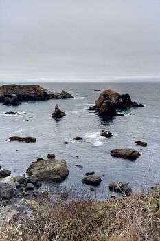 Beautiful coast of the Pacific Ocean on a foggy morning
