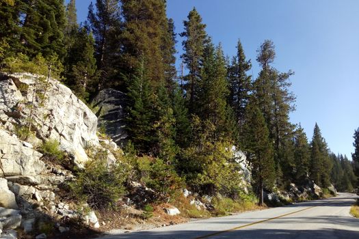 Beautiful view of the road, forest, mountains in Yosemite Park