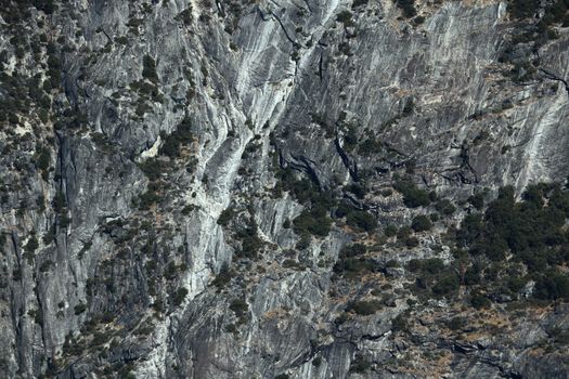 View of the rocks covered with green trees.