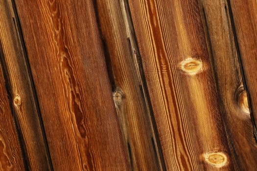 Texture of natural wood with a natural pattern for the background and decoration.