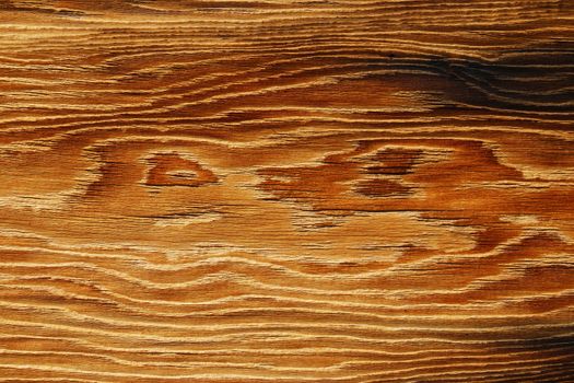 Wood texture. Wood texture for design and decoration.