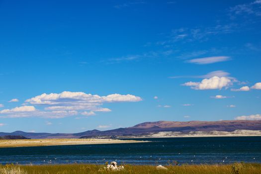 The magic of Mono Lake. Outliers - bizarre limestone calcareous tufa formation on the smooth water of the lake