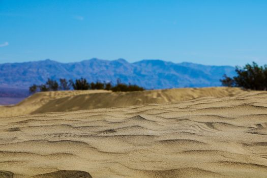 Great sand dune national park on the day,Colorado,USA