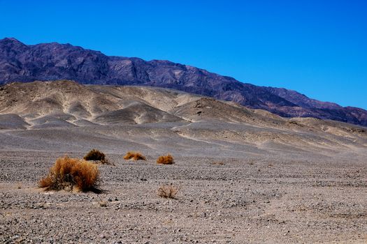 Death Valley National Park, California. Badwater Pool in Death Valley National Park