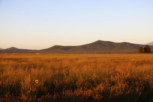 View of the fields and mountains in Arizona, USA