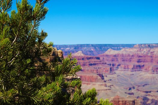 Grand Canyon sunny day with blue sky