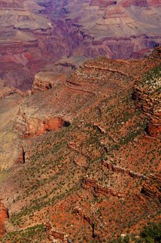 View of the south rim, Grand Canyon National Park
