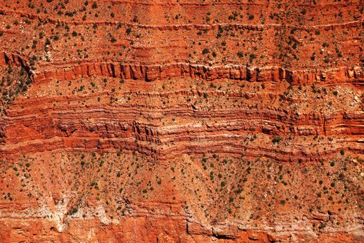 Grand Canyon National Park, in Arizona, is home to much of the immense Grand Canyon, with its layered bands of red rock revealing millions of years of geological history