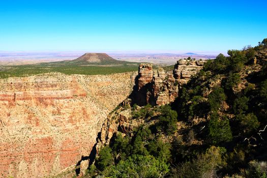 The North Rim of the Grand Canyon in June