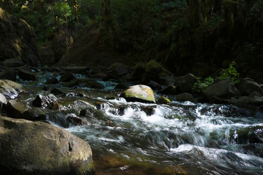 Stormy mountain river in the forest in summer sunny day. Mountain river with stones and logs in the forest