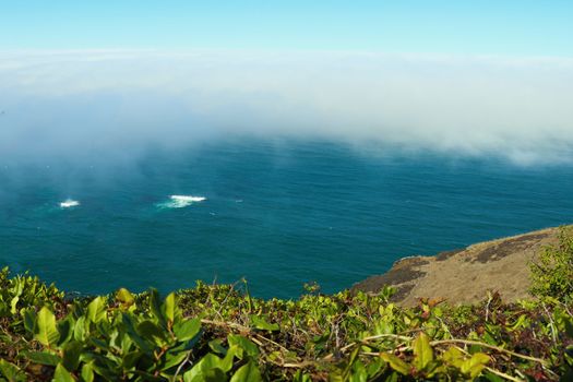 View from the top to the beach of the Pacific Ocean on a foggy morning.