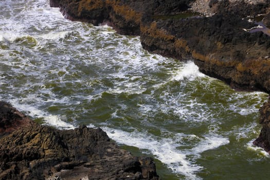 A flat lay, aerial view of Seal Rocks in San Francisco, California.