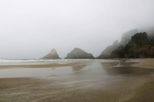 Rocky Pacific Coast of Northern California in the Blue Morning Mist.